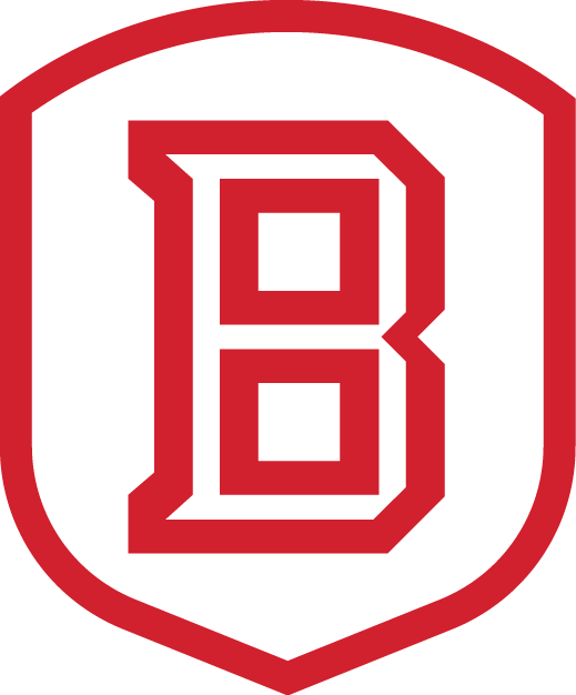 Bradley Braves 2012-Pres Secondary Logo v2 diy fabric transfer